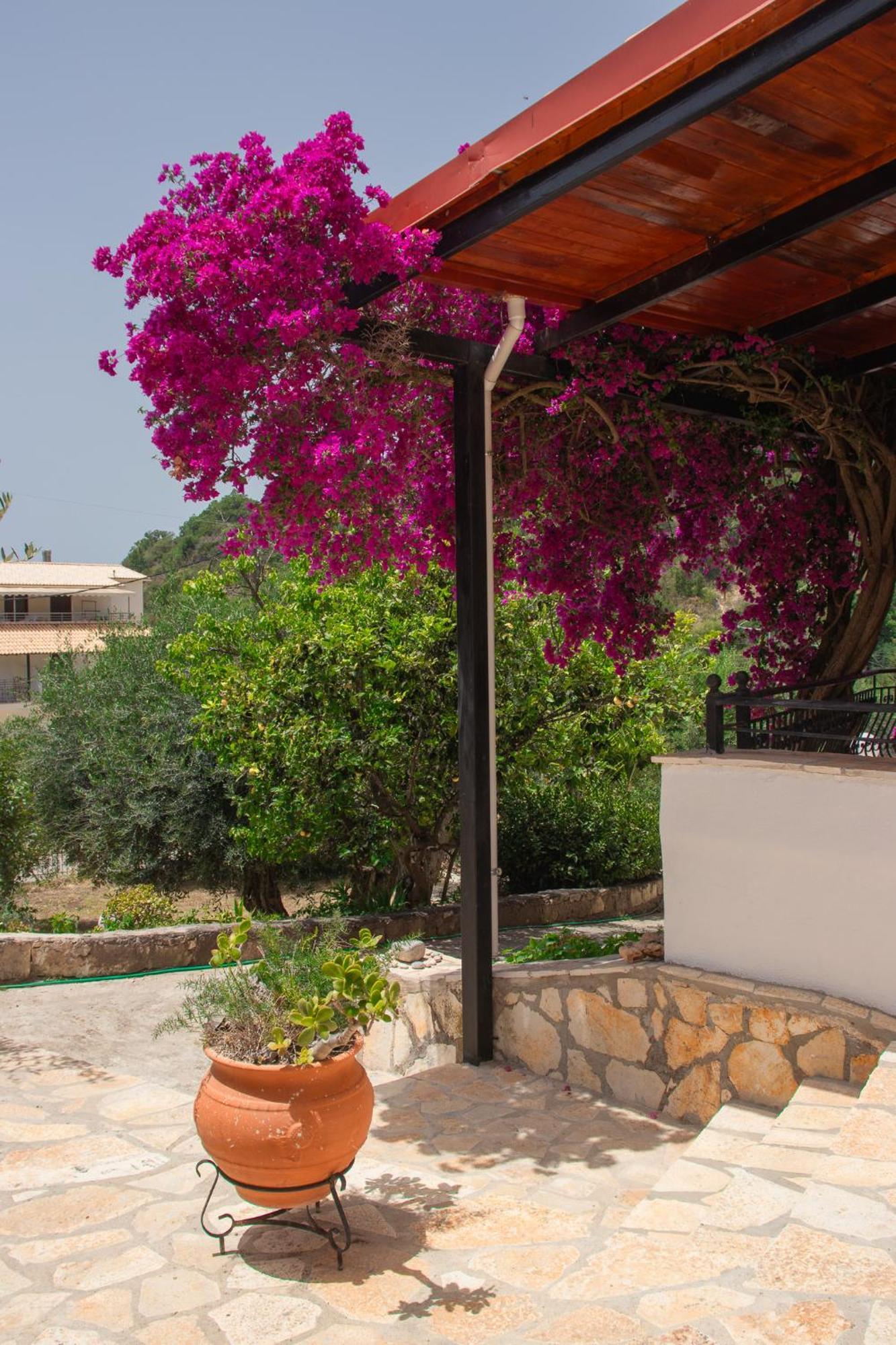 Sissy & Apartment Sivota (Epirus)