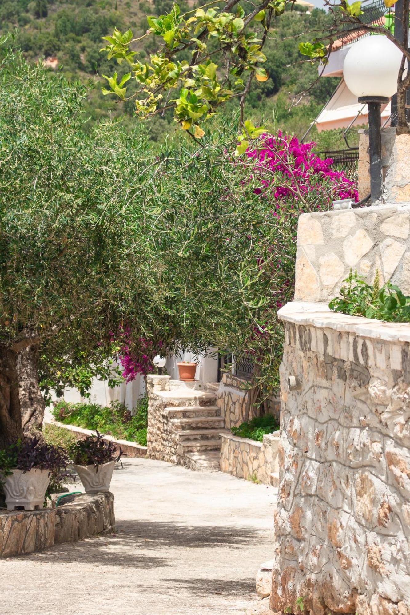 Apartment Sissy & Sivota (Epirus)